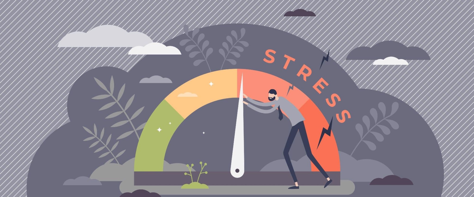 Managing Stress and Anxiety Leading Up to the Defence: A Comprehensive Overview