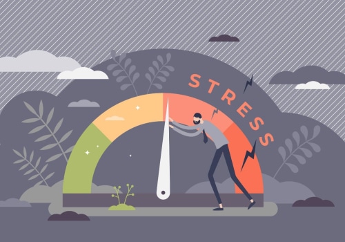 Managing Stress and Anxiety Leading Up to the Defence: A Comprehensive Overview